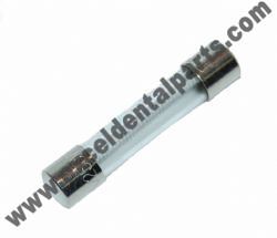 Fuse; Pelton & Crane LFII Light