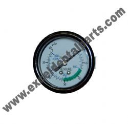 Gauge Pressure - Pelton & Crane®