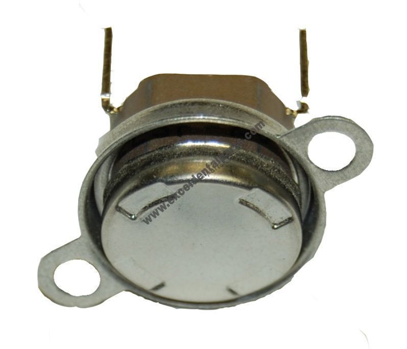 Wall Thermostat - Pelton & Crane® Magnaclave