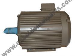 Motor 1-1/2 HP with Capacitor - Pelton & Crane® Hustler